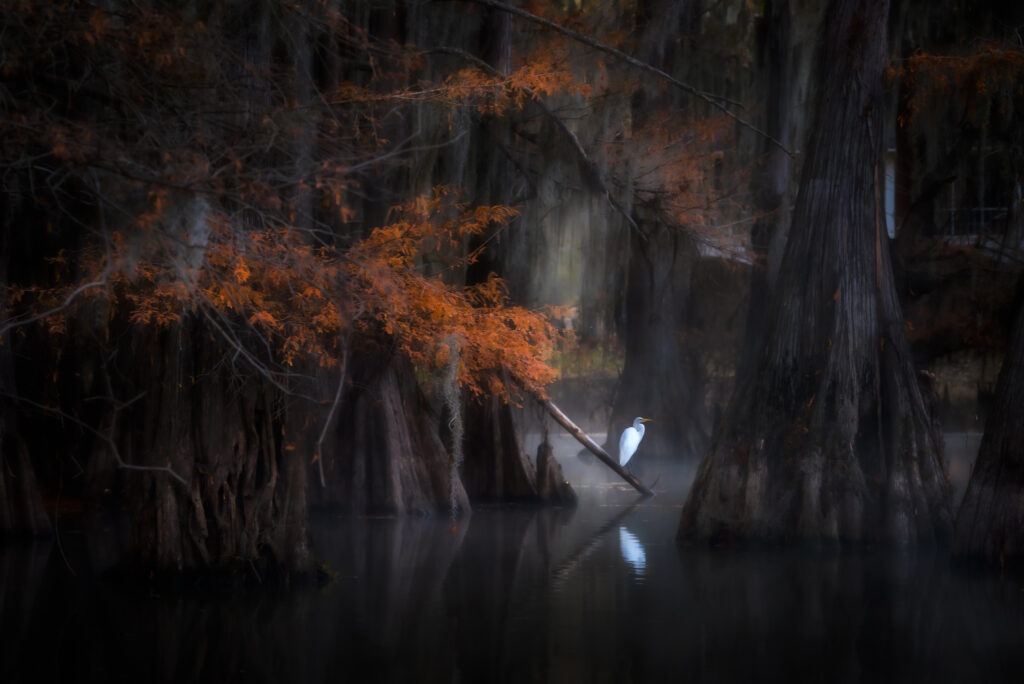 Louisiana and the South